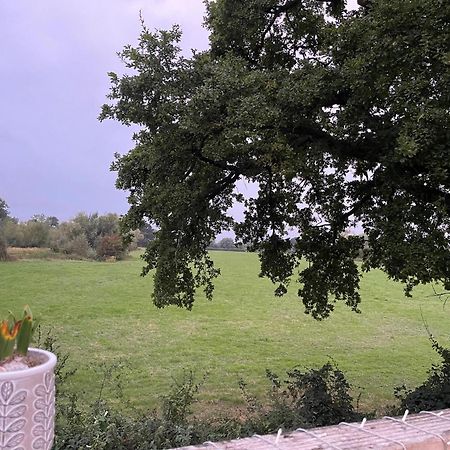 Deerhurst Severnside Boat And Caravan Park Gloucestershire - Caravan 1 מראה חיצוני תמונה
